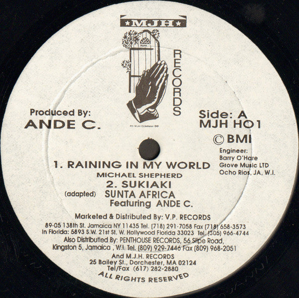 Various : Untitled (12")